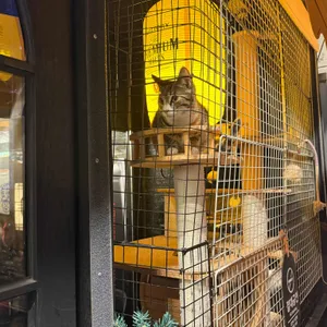 네코네주방 사진