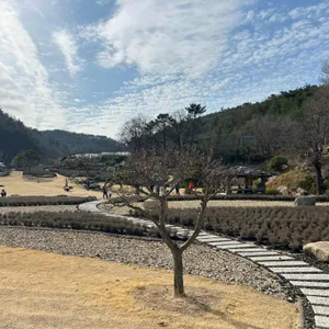 느티나무의사랑 대표 사진