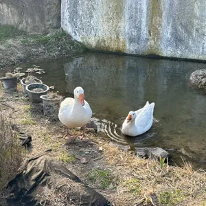 느티나무의사랑 리뷰 사진
