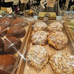 브라우터 대표 사진