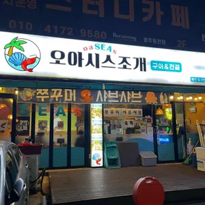 오아시스조개 사진 1