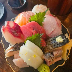 산호 대표 사진