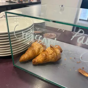 오버트 대표 사진