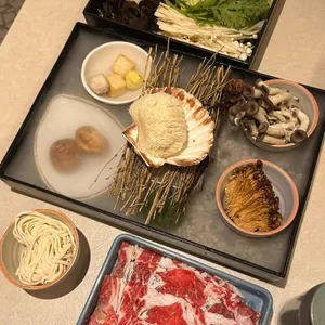 노야 사진