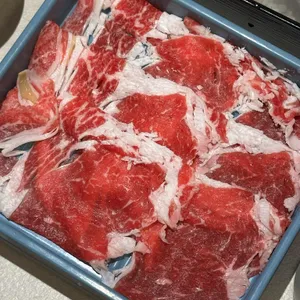 노야 사진