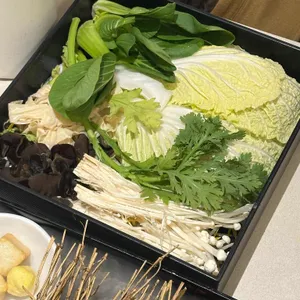 노야 사진