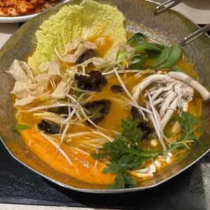 노야 사진