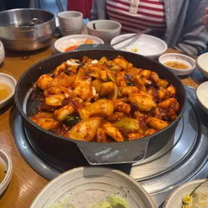 조가네갑오징어 사진 1