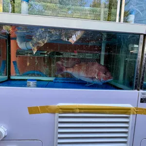 어원 대표 사진