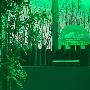 LIBERTY 대표 사진