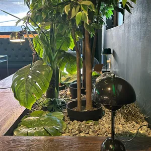 LIBERTY 대표 사진