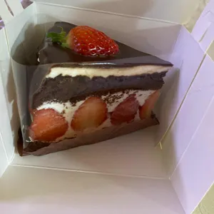 베리스베어 사진 1