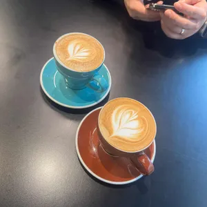 노벨커피 사진 1