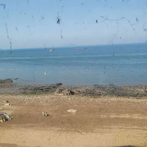 황제바지락칼국수 대표 사진