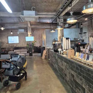 보사노바 대표 사진