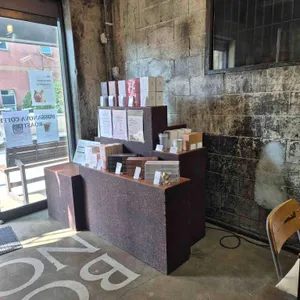 보사노바 대표 사진