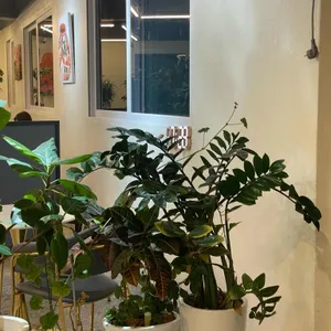 카페오후3시 리뷰 사진