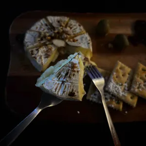 교집합 대표 사진