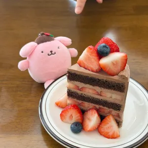 원스어시너리 사진