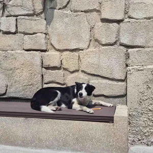 그라우브 사진 2