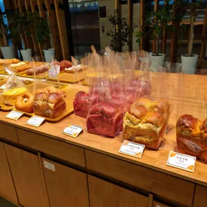 엘도라도 사진