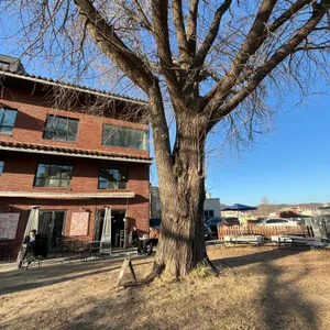 스태픽스 리뷰 사진