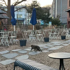 스태픽스 대표 사진