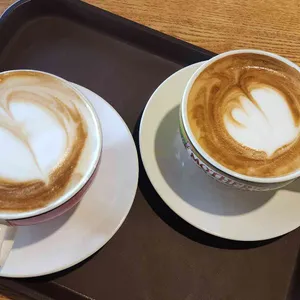 빈플래토 사진 2