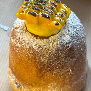도토리 리뷰 사진