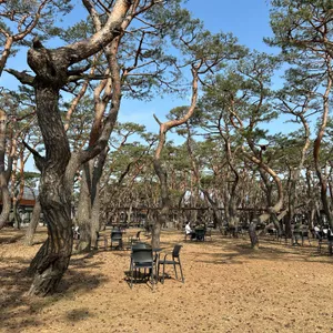 소울 로스터리 사진 1