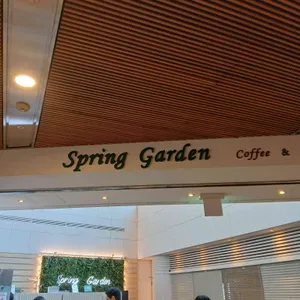 스프링가든 사진