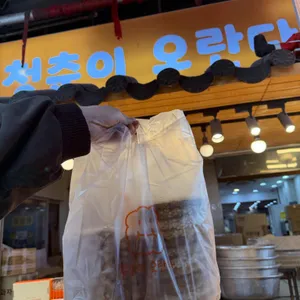 청춘이오란다 대표 사진