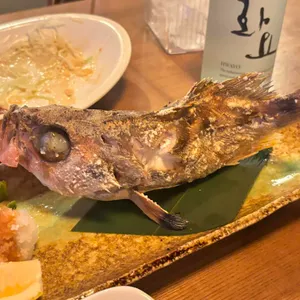 로바타 니카이 대표 사진
