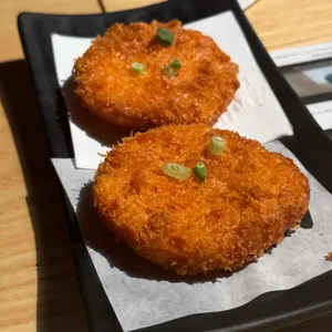 홍대개미 사진