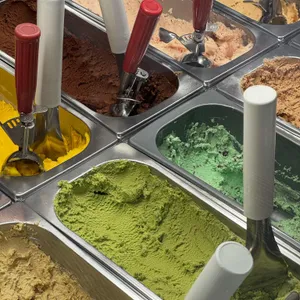 아차가 대표 사진