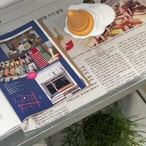 아차가 대표 사진