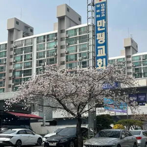 초당칼국수 리뷰 사진