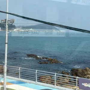 미포집 대표 사진