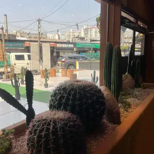 갓잇 대표 사진