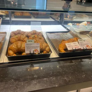 스타벅스 대표 사진