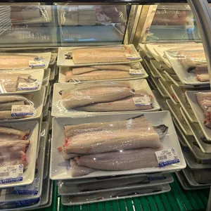 장어의꿈 대표 사진