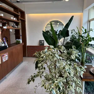 커피플러스 대표 사진