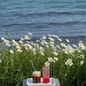 봄여름가을 사진 1