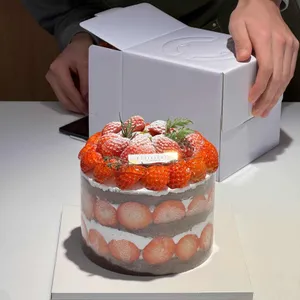 빵파제 사진
