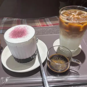 숲속의 밤 대표 사진