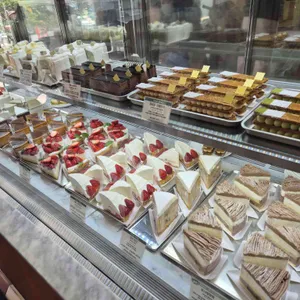 듀자미 대표 사진