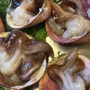 방이섬 대표 사진