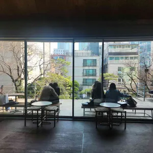 앤트러사이트 대표 사진