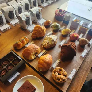 앤트러사이트 대표 사진