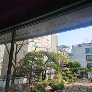 앤트러사이트 대표 사진